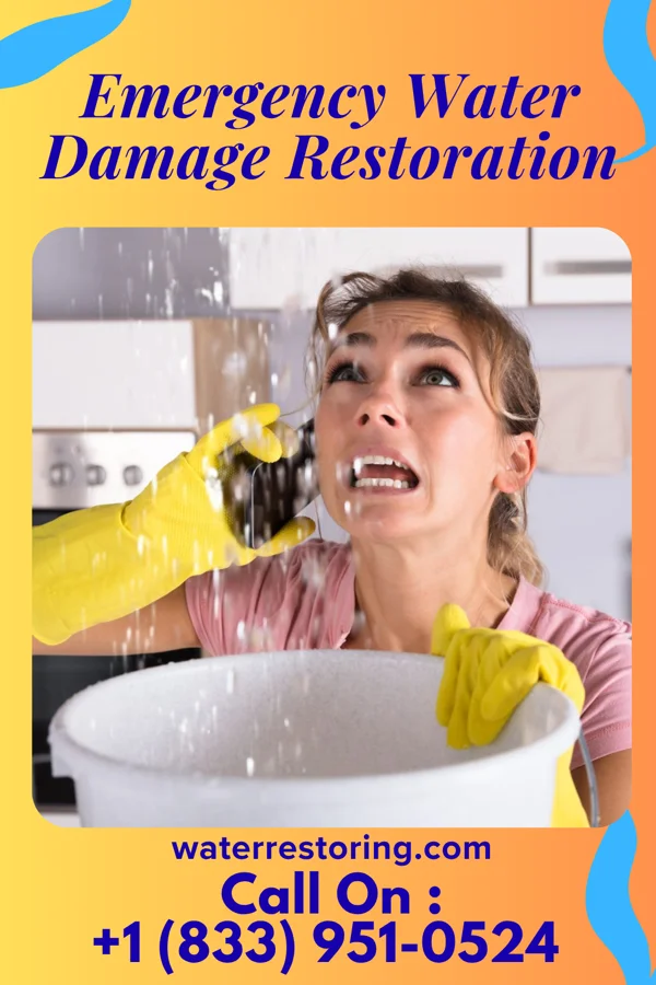 Emergency Water Damage Restoration in Evan, MN