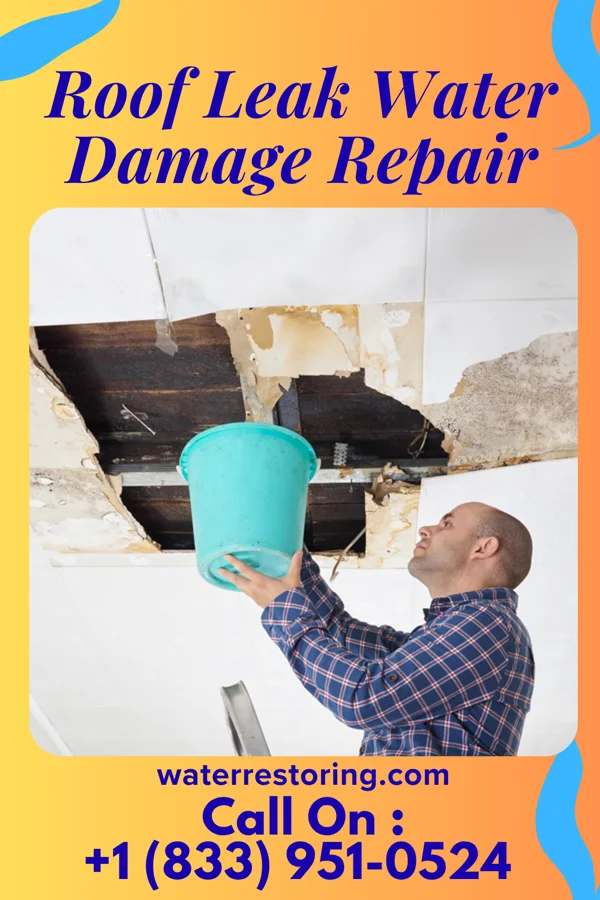 Roof Leak Water Damage Repair in Evan, MN