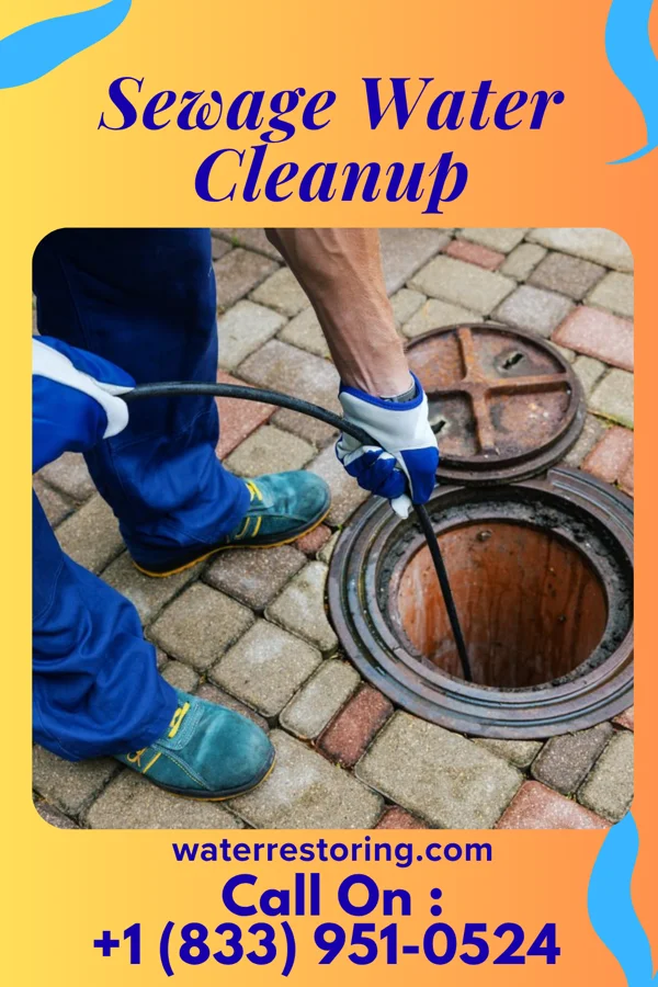 Sewage Water Cleanup in Evan, MN